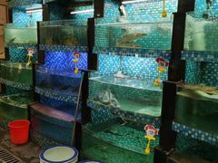 水产区-春盛渔府(牛首山店)