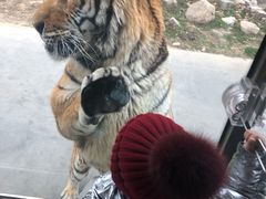 -西安秦岭野生动物园