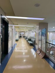 -五洲妇儿医院