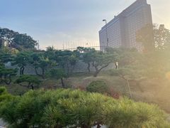 -新罗免税店(首尔总店)