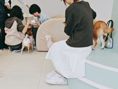 -怪兽屋·羊驼·猫咖·狗咖(俊华广场店)