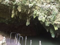 -怀托摩萤火虫洞