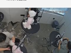 -帕帕拉兹宠物(亚洲旗舰店)