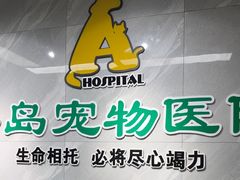 -半岛宠物医院24小时(白果林店)
