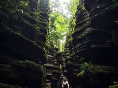 -梭布垭石林景区