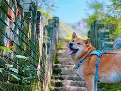 -云岫谷自然风景区