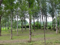 -东郊湿地公园