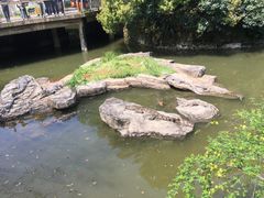 -南昌动物园