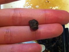 IMG_0794-毛家湾饭店·品牌湘菜(海印店)