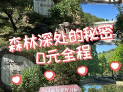 -白水寺森林公园