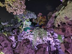 -个园