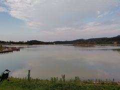 -美的鹭湖森林度假区