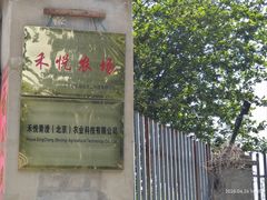 -绿堤公园