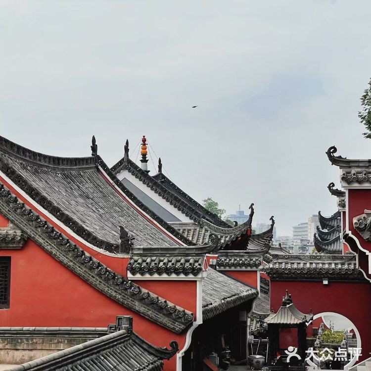 📷武汉摄影｜长春观