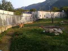 -西安秦岭野生动物园