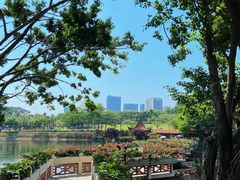 -深圳龙潭公园