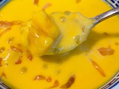 杨枝甘露-捷信牛奶甜品世家(五道口店)