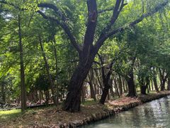 -同里国家湿地公园