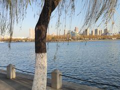 -济南国际园博园