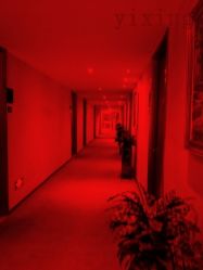 -Yestar杭州艺星医疗美容医院