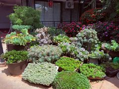 -山菌美食苑(振兴路店)