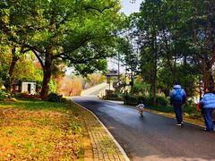 -东湖落雁景区