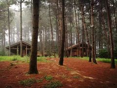 -重庆雨台山风景区