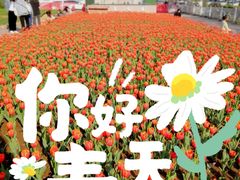 -泉城广场