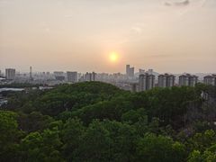 -四望岗公园