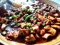 -小杨翘脚牛肉