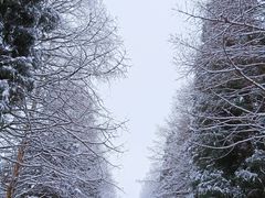 -山王坪喀斯特国家生态公园