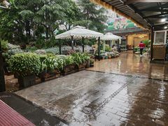 -山菌美食苑(振兴路店)