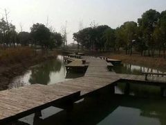 -梁鸿国家湿地公园