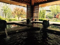 -中家鑫园温泉酒店鑫悦汤泉