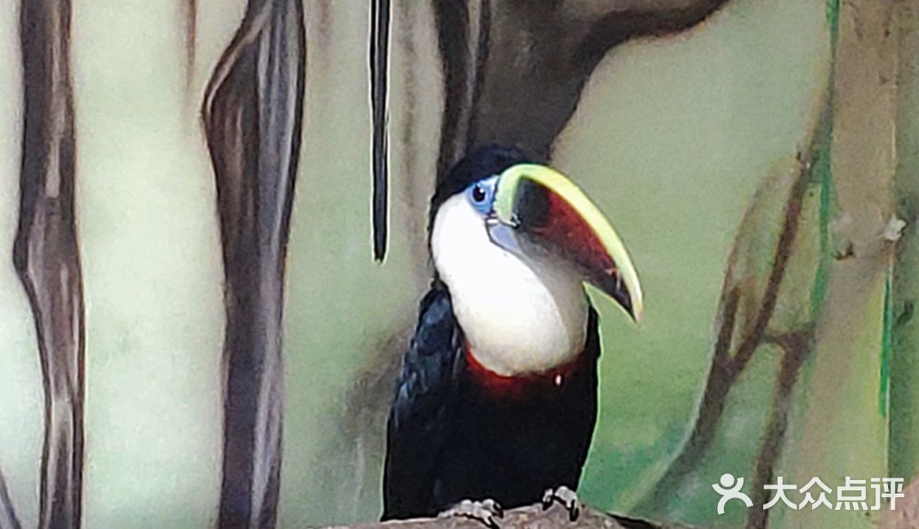 五一游玩‖武汉海昌极地海洋公园