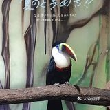 五一游玩‖武汉海昌极地海洋公园