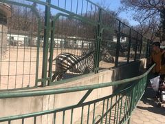 -保定市动物园