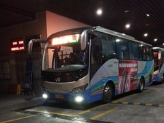 -上海机场-城市航站楼