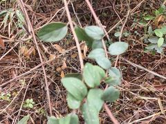 -天台山赤城山景区