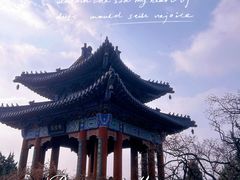 -梅花山(明孝陵内)