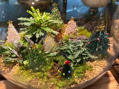 -自由生长植物工作室(深港花卉中心店)
