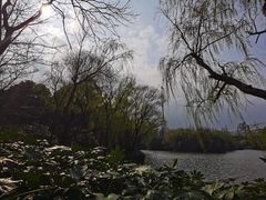 -黄兴公园