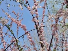 -大兴滨河森林公园