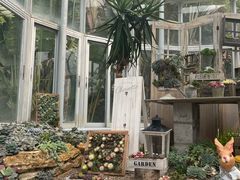 -深圳仙湖植物园