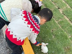 -合肥滨湖国家森林公园