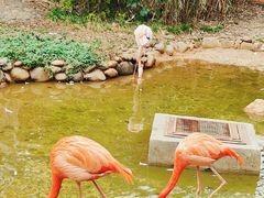 -昆明动物园