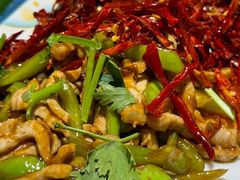 -佶政筋饼·新概念(安阳路店)