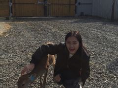 -鹿境梅花鹿生态园区