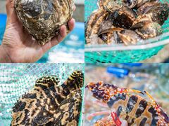 -达叔香味海鲜(海棠68环球美食街店)