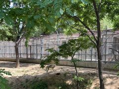 -石家庄市动物园